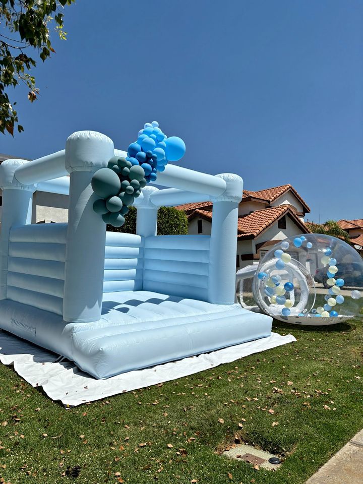 Other Color Modern Bouncer